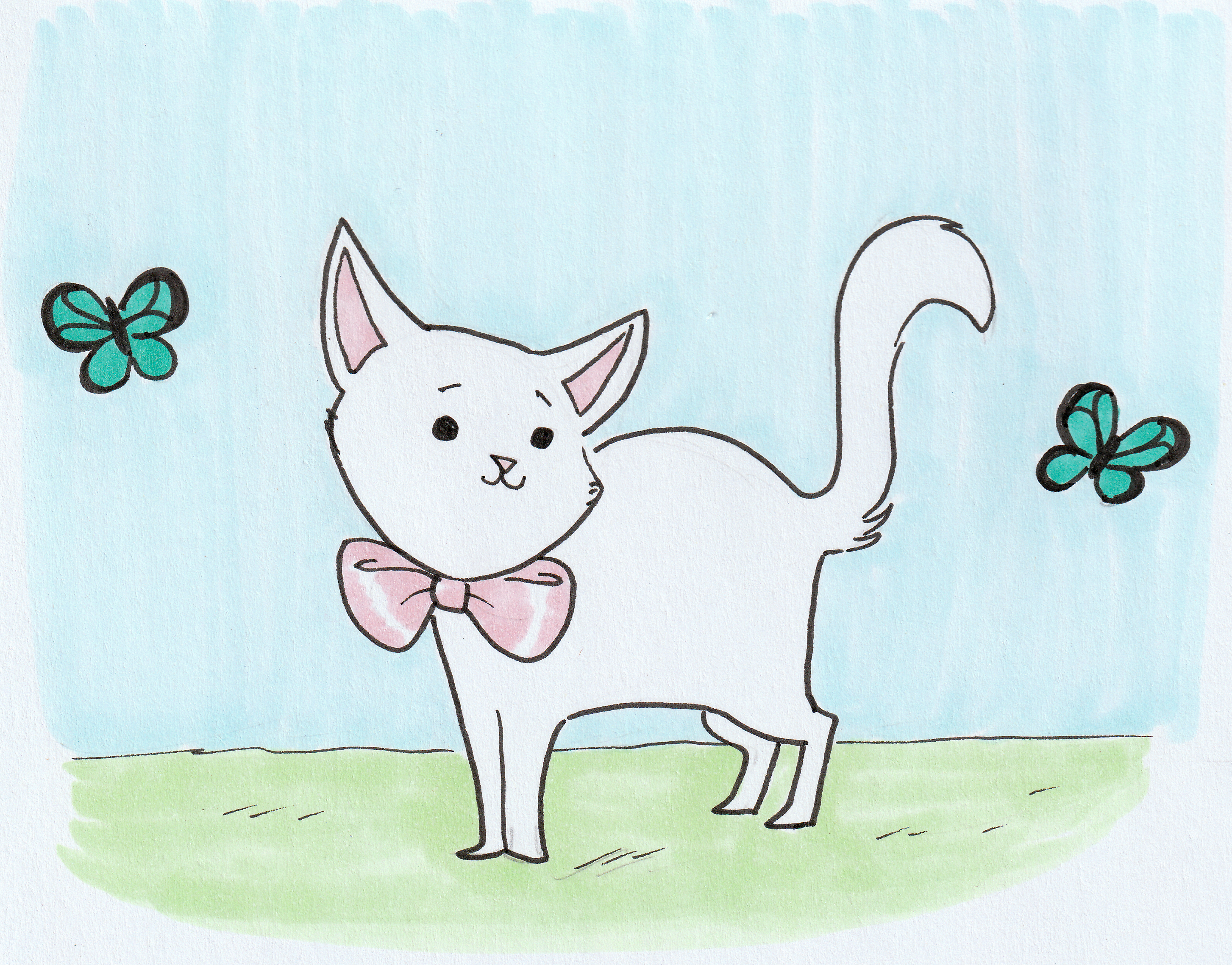 cat with butterflies